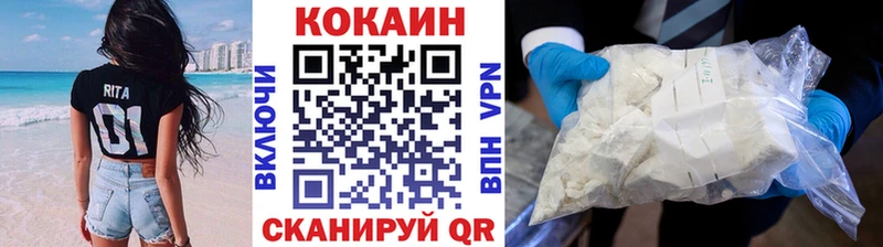 закладки  Заводоуковск  Cocaine Эквадор 