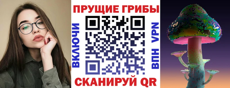 Галлюциногенные грибы мухоморы  наркота  Заводоуковск 
